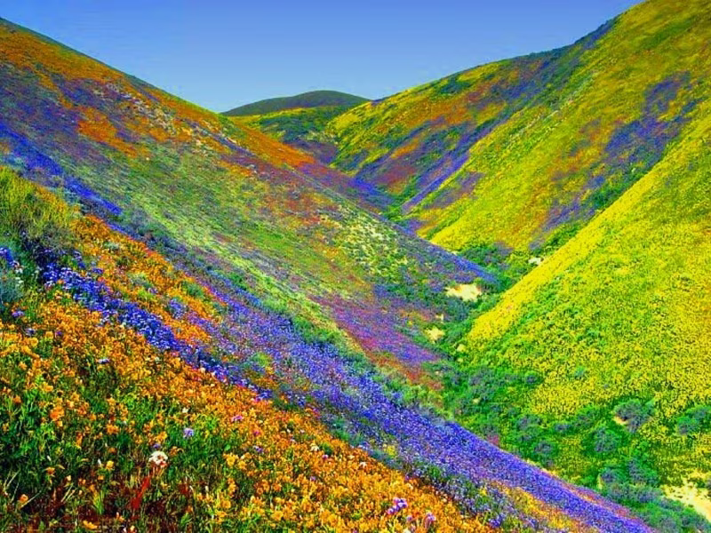 The trek of the valley of flowers